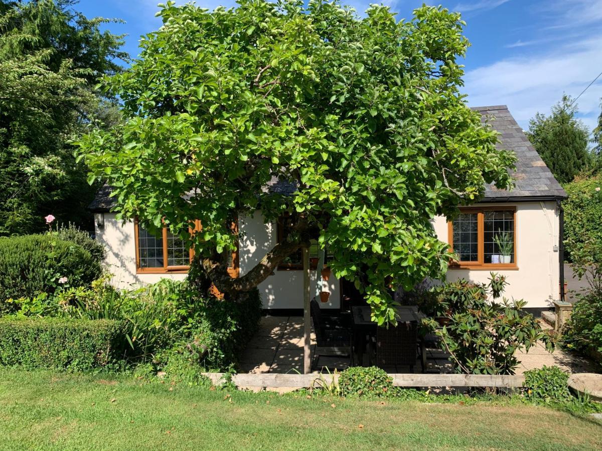 Newton Farmhouse Whiteparish Buitenkant foto