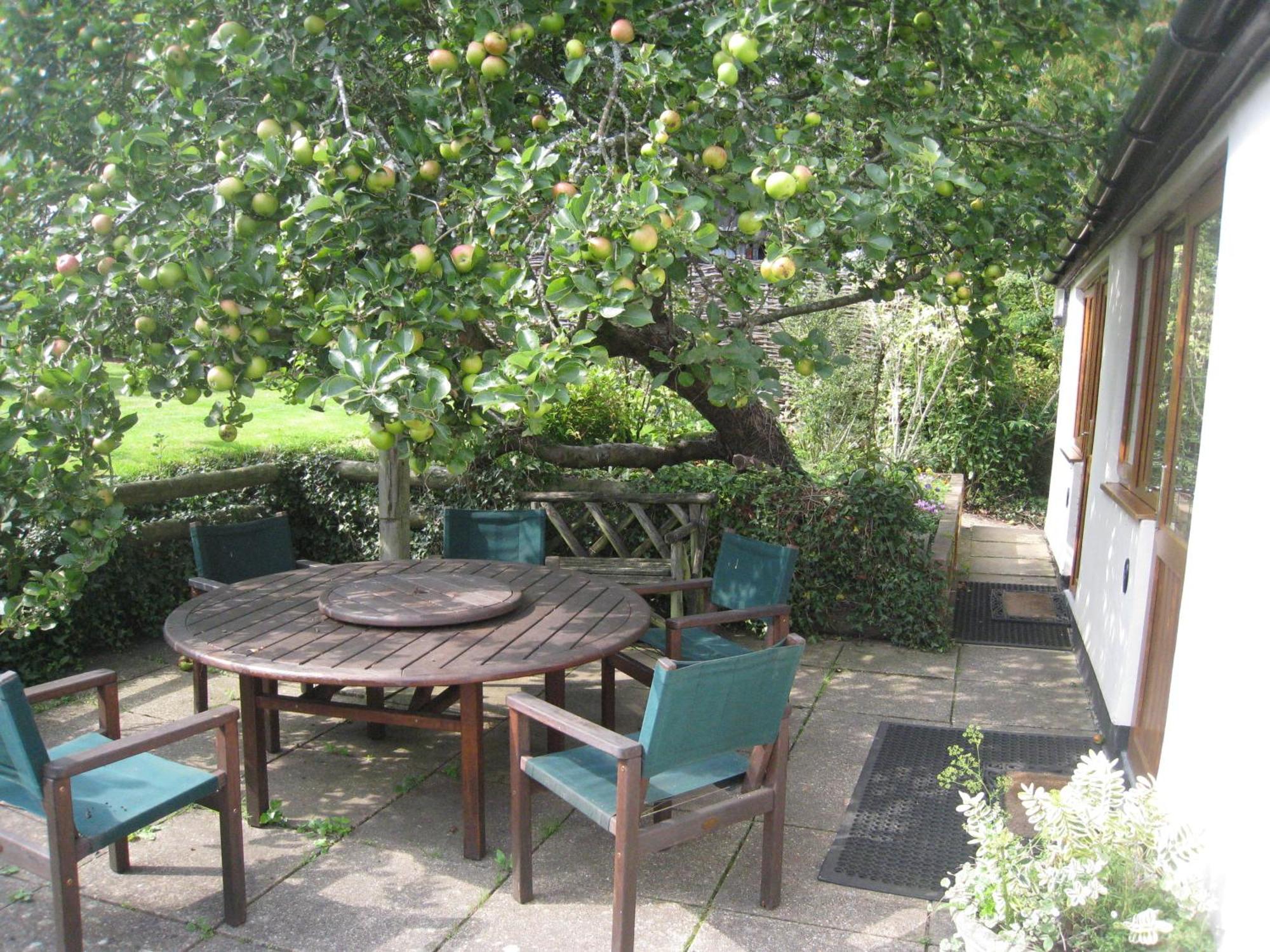 Newton Farmhouse Whiteparish Buitenkant foto